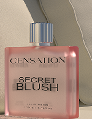 MAAC Bhopal Skill Enhancement courses